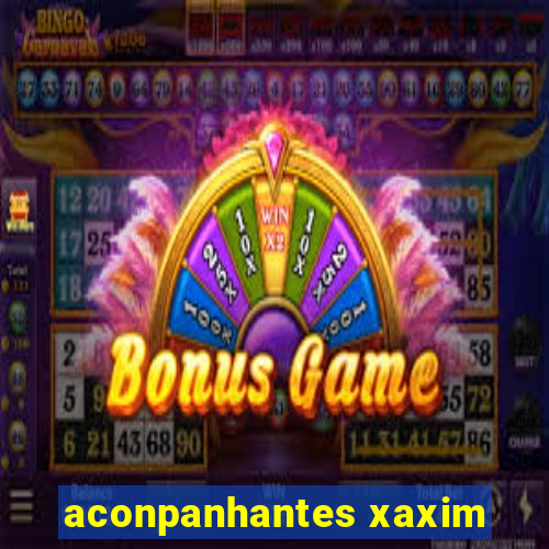 aconpanhantes xaxim